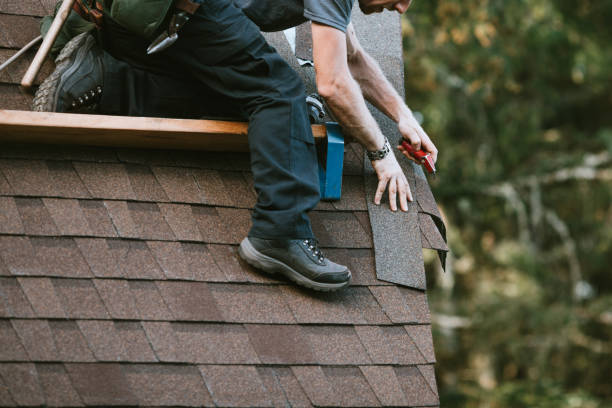 Best Roof Waterproofing Services  in Ele, AR